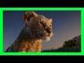 Disney Coloring World - The Lion King 2019 NEW Update! - Coloring Pages for Kids - Episode 7